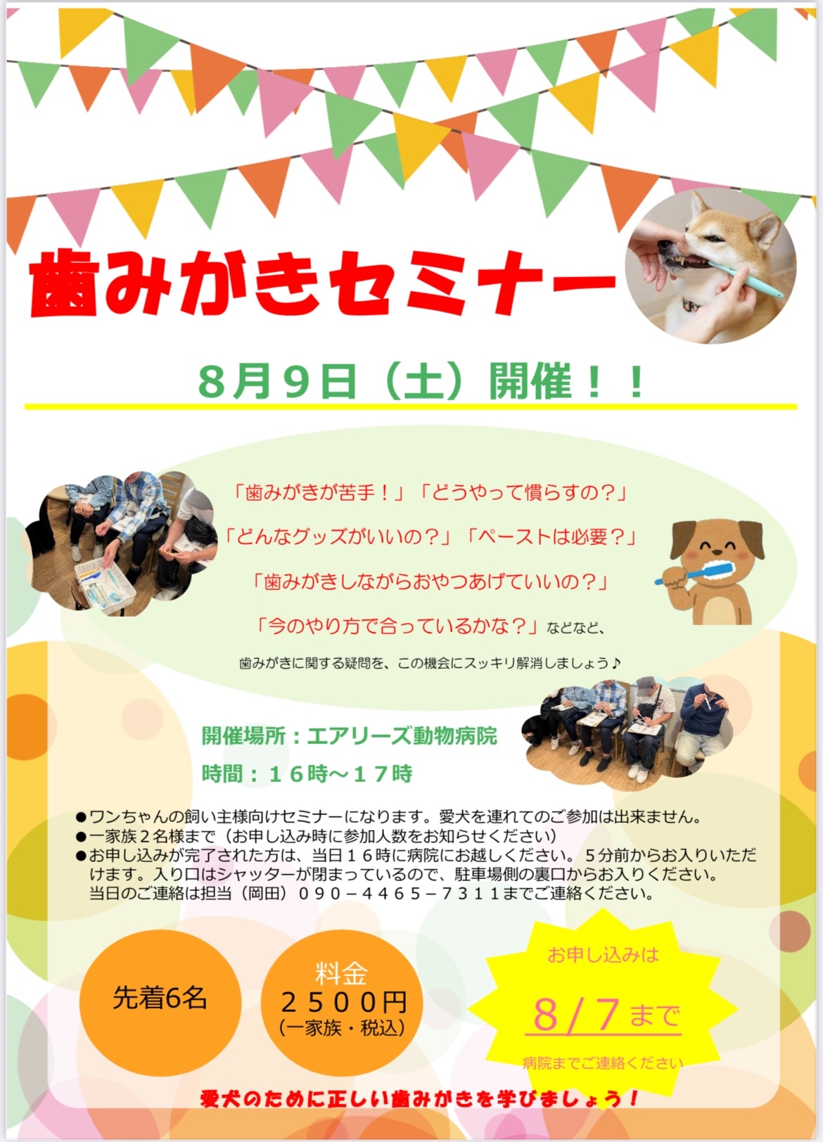 歯