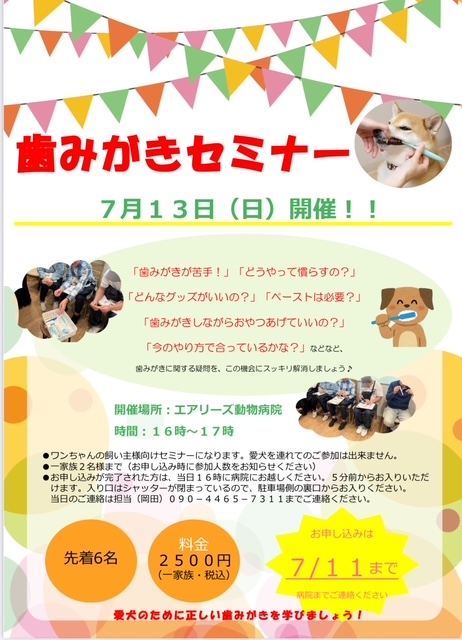 歯