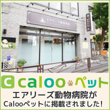 calooペット